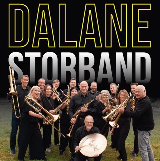 Dalane Storband