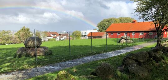 Grønn slette utenfor Gausel Fritidsgård med regnbue over