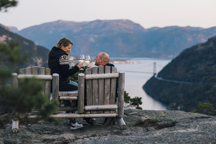 Two people with glasses toasting in nature overlooking the fjord