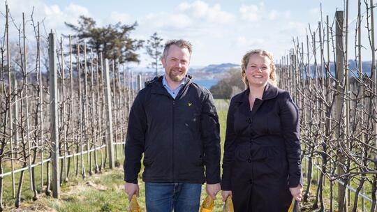 A man and a woman standing between apple vines with fizzy apple drink bottles at Sandalen Gård