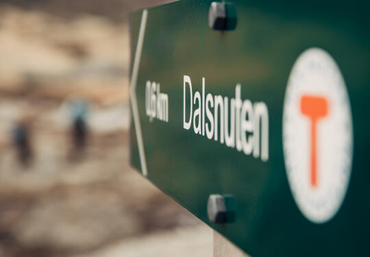 Green sign to Dalsnuten